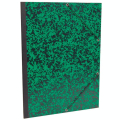 Carton à dessin Annonay vert à élastiques 32x45cm - Clairefontaine - Rougier et Plé