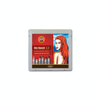 Crayon Wax aquarell par 12 étui métal - Koh I Noor - Rougier et Plé