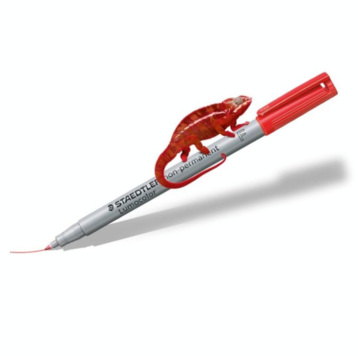 Feutre permanent pointe superfine 313 S - Staedtler - Rougier et Plé