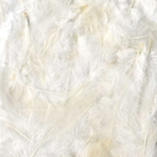 Plumes colorées 10 g - Artemio - Rougier et Plé