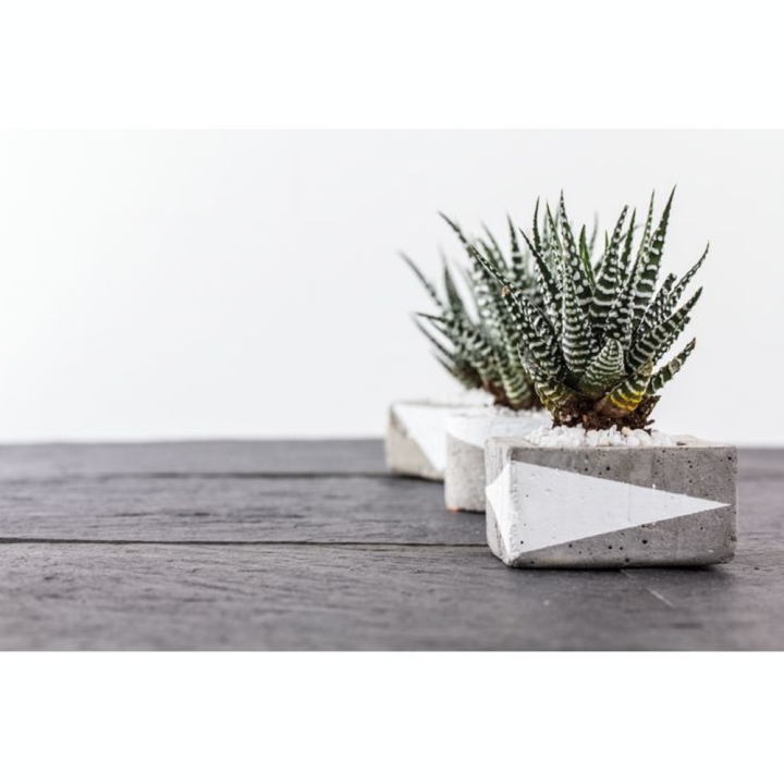 Béton créatif seau de 1 kg - Rayher - Rougier et Plé