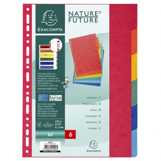 Intercalaires A4 en carton lustré - 6 positions - Exacompta - Rougier et Plé