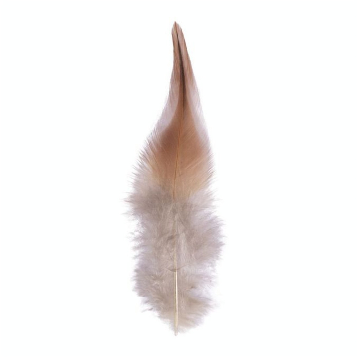 Plume de coq brun 3g 10-15 cm - Rayher - Rougier et Plé