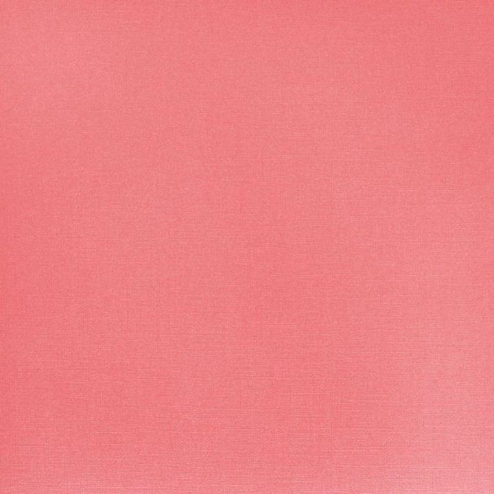 Papier Bazill Paper bling perky 30 x 30 cm - Bazzill Basics Paper - Rougier et Plé