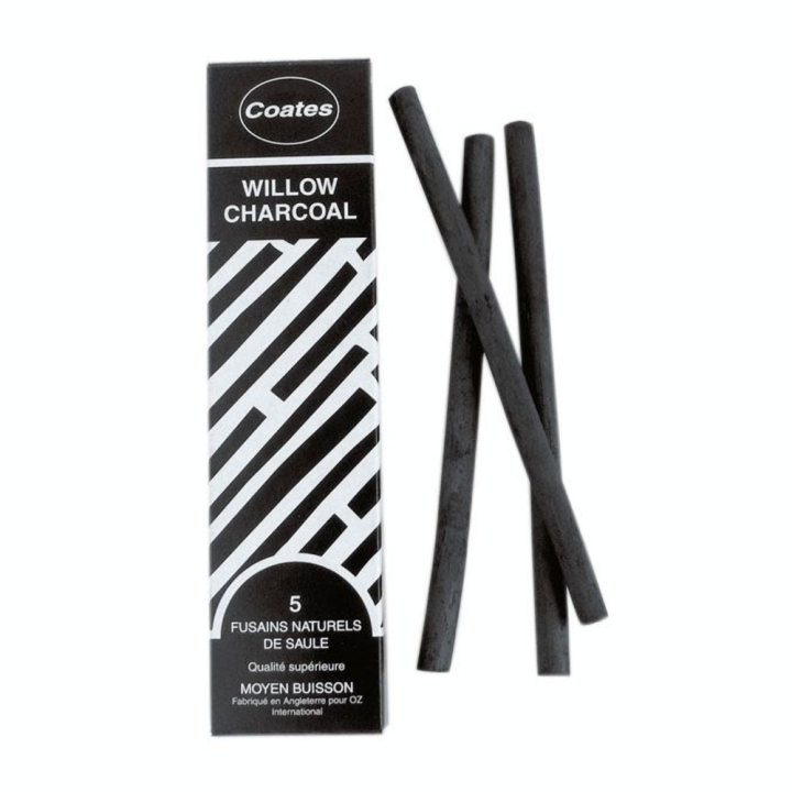 Fusain naturel de saule - moyen buisson Ø 8 mm - 5 pcs - Coates - Rougier et Plé