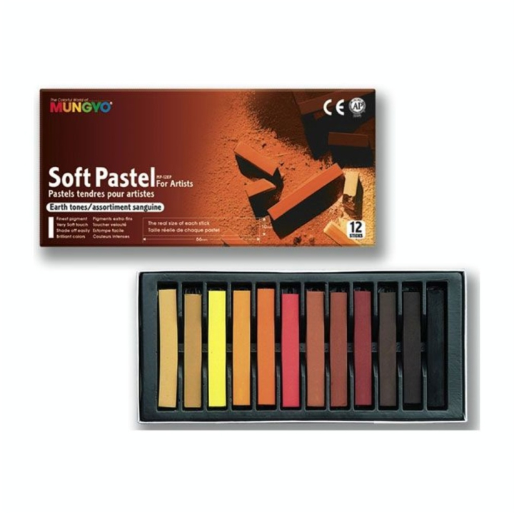 Pastels secs carrés - 12 sanguines - Mungyo - Rougier et Plé