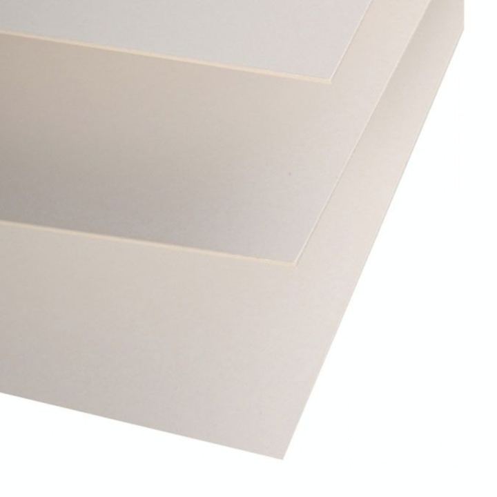 Contrecollé Eco 50 x 65 cm 1,5 mm - Canson - Rougier et Plé