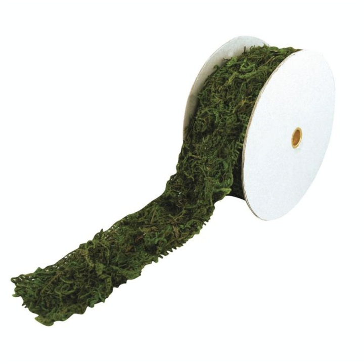 Ruban de mousse 5 cm x 200 cm - Rayher - Rougier et Plé