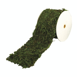 Ruban de mousse 10 cm x 200 cm - Rayher - Rougier et Plé