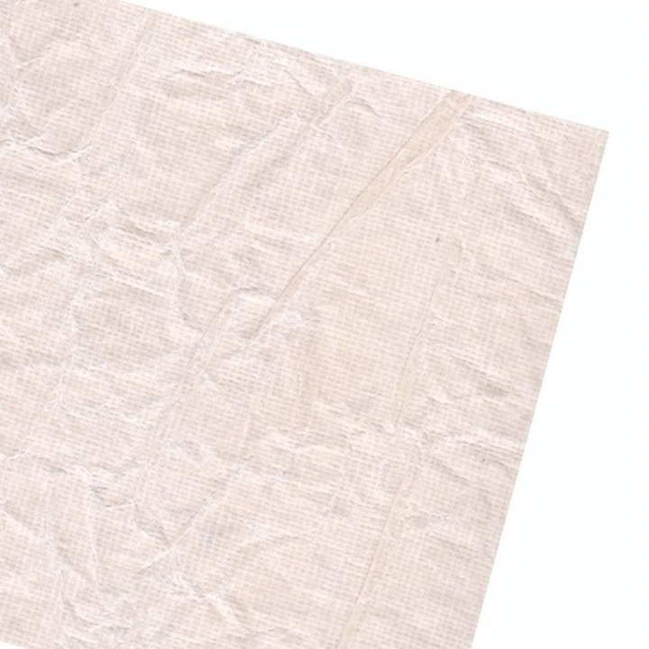 Papier texturé sur trame coton 48 x 70 cm +/- 130 g/m² Blanc - Lamali - Rougier et Plé