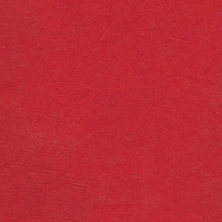 Papier Lokta Classique fin 50 x 75 cm - Lamali - Rougier et Plé