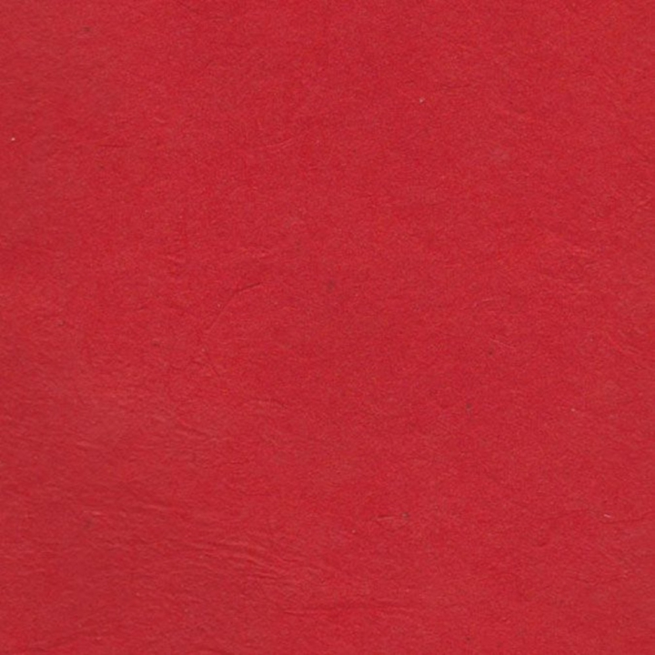 Papier Lokta Classique fin 50 x 75 cm - Lamali - Rougier et Plé