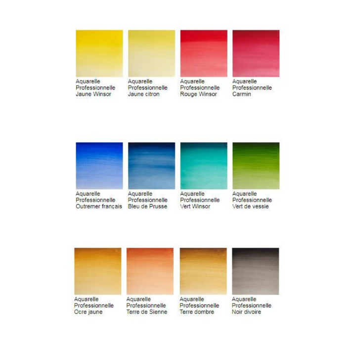 Aquarelle extra-fine Boite métal Black Box 12 demi-godets - Winsor & Newton - Rougier et Plé