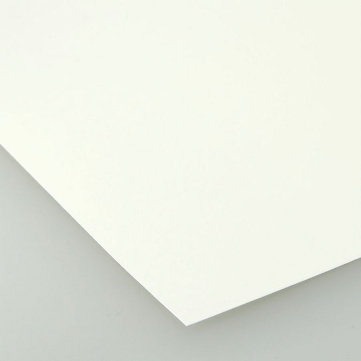 Feuille de papier Alpha Lavis 50 x 65 cm 200 g/m² - Clairefontaine - Rougier et Plé