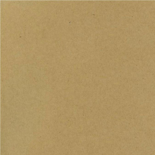 Papier Bazzil Cartonné 30.5 x 30.5 cm- 216 g/m² - Bazzill Basics Paper - Rougier et Plé