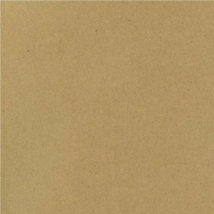 Papier Bazzil Cartonné 30.5 x 30.5 cm- 216 g/m² - Bazzill Basics Paper - Rougier et Plé