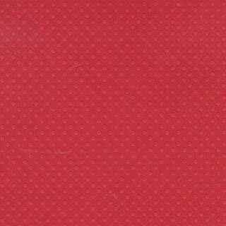 Papier Bazzill Dot 30,5 x 30,5 cm - 216 g/m² - Bazzill Basics Paper - Rougier et Plé