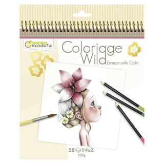 Carnet de coloriage Collector par Emmanuelle Colin - Avenue Mandarine - Rougier et Plé