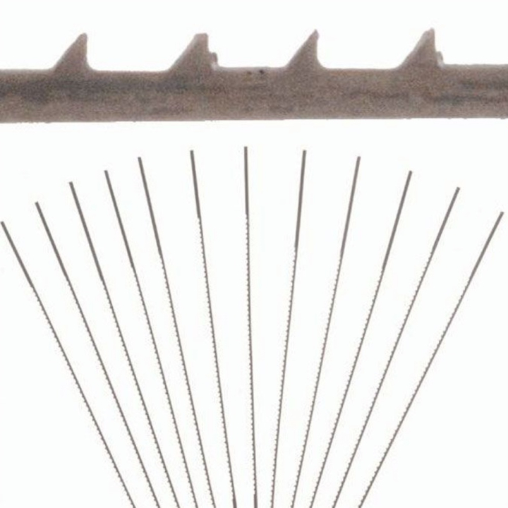 Lame pour scie à chantourner 12 pcs Ep. 6 - Efco - Rougier et Plé