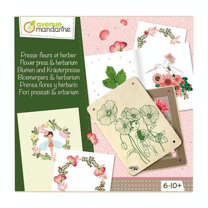 Coffret créatif Presse fleurs et herbier - Avenue Mandarine - Rougier et Plé