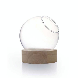 Vase globe + Socle en bois 11 x Ø 10 cm - Graine Créative - Rougier et Plé