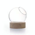 Vase globe + Socle en bois 11 x Ø 10 cm - Graine Créative - Rougier et Plé