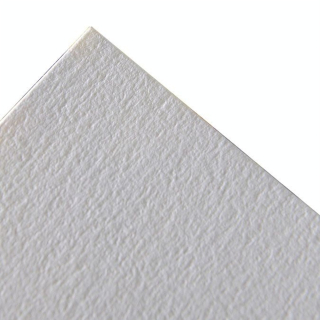 Papier C à grain 224 g/m² 75 x 110 cm - Canson - Rougier et Plé