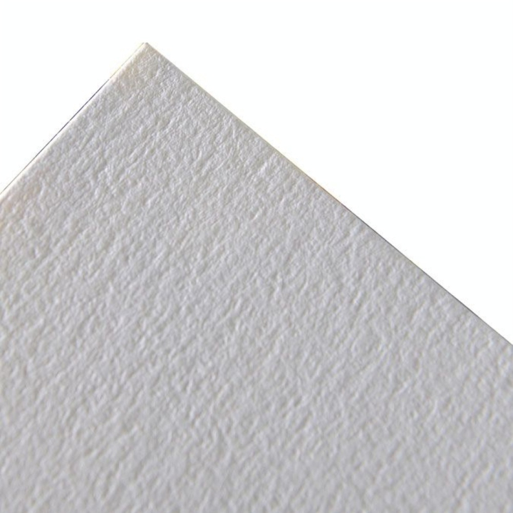 Papier C à grain 224 g/m² 75 x 110 cm - Canson - Rougier et Plé