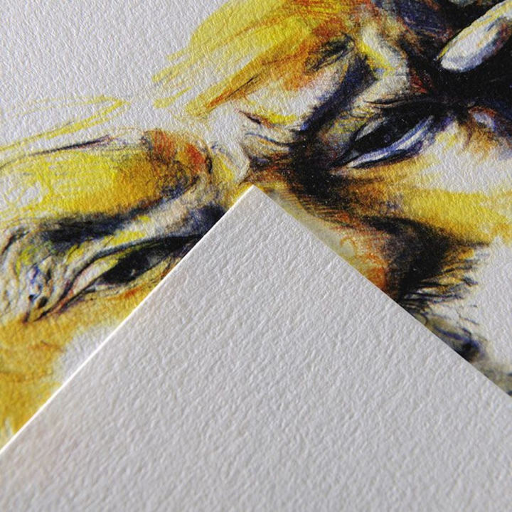 Papier C à grain 224 g/m² 75 x 110 cm - Canson - Rougier et Plé