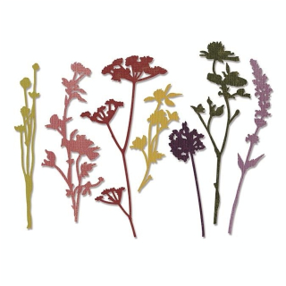 Matrice de découpe Thinlits Die Fleurs sauvages7 pcs - Sizzix - Rougier et Plé