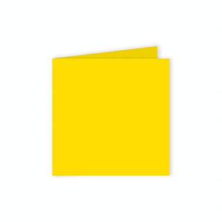 Carte Double faire part Pollen 210g 160 x 160 mm par 25 - Clairefontaine - Rougier et Plé