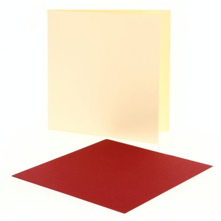 Carte Double faire part Pollen 210g 160 x 160 mm par 25 - Clairefontaine - Rougier et Plé