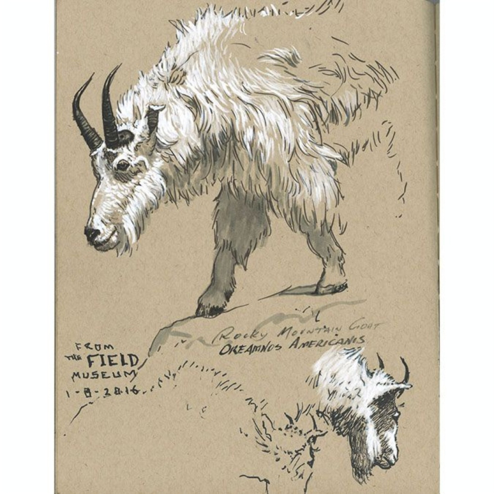 Feutre Pitt set Noir et Blanc par 4 - Faber-Castell - Rougier et Plé