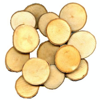 Tranche de bois Ø 3 à 3.5 cm 30 pcs - Artemio - Rougier et Plé
