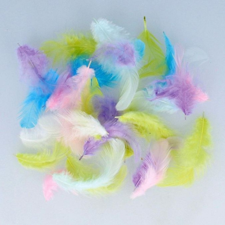 Plume multicolore pastel Rainbow 10 g - Artemio - Rougier et Plé