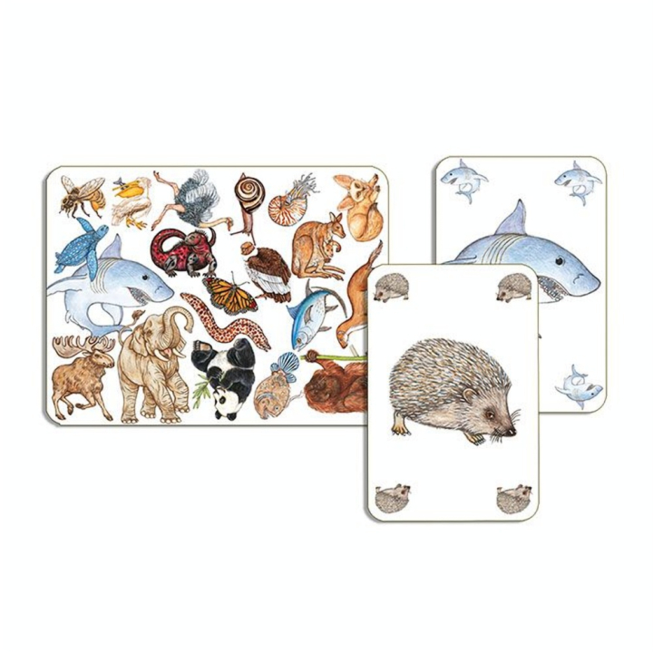 Jeu de cartes Zanimatch - Djeco - Rougier et Plé