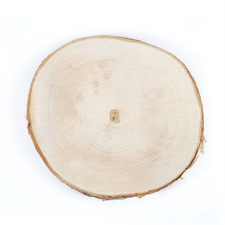 Tranche de bouleau Disque de 18 à 22 cm - Graine Créative - Rougier et Plé