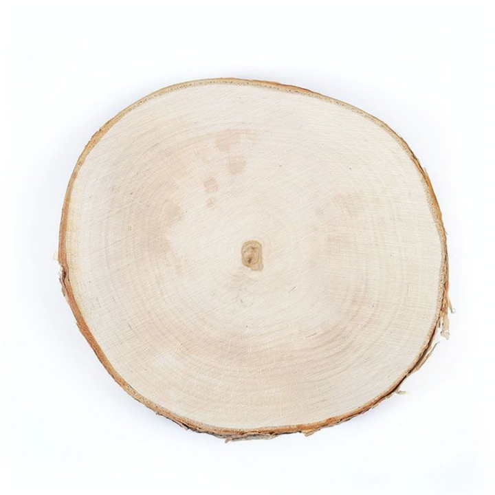 Tranche de bouleau Disque de 18 à 22 cm - Graine Créative - Rougier et Plé