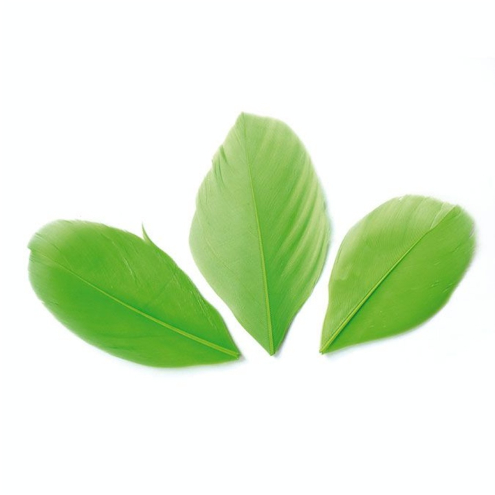 Plumes coupées 3 g Vert clair - Graine Créative - Rougier et Plé