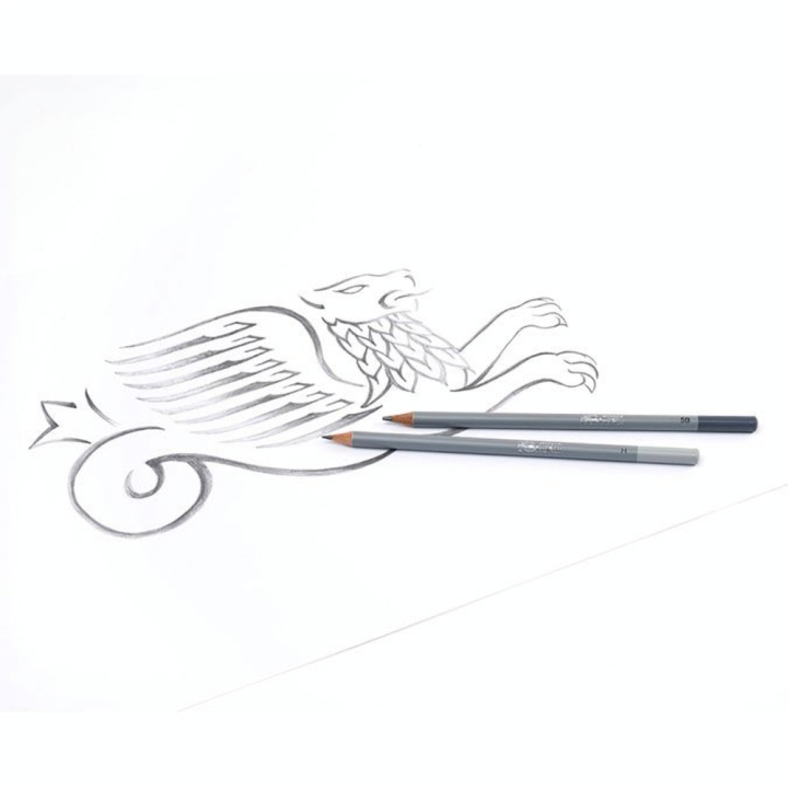 Crayon graphite Studio Collection x 12 - Winsor & Newton - Rougier et Plé