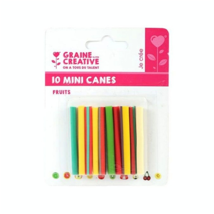 Mini canes Assortiment Fruits x 10 pcs - Graine Créative - Rougier et Plé