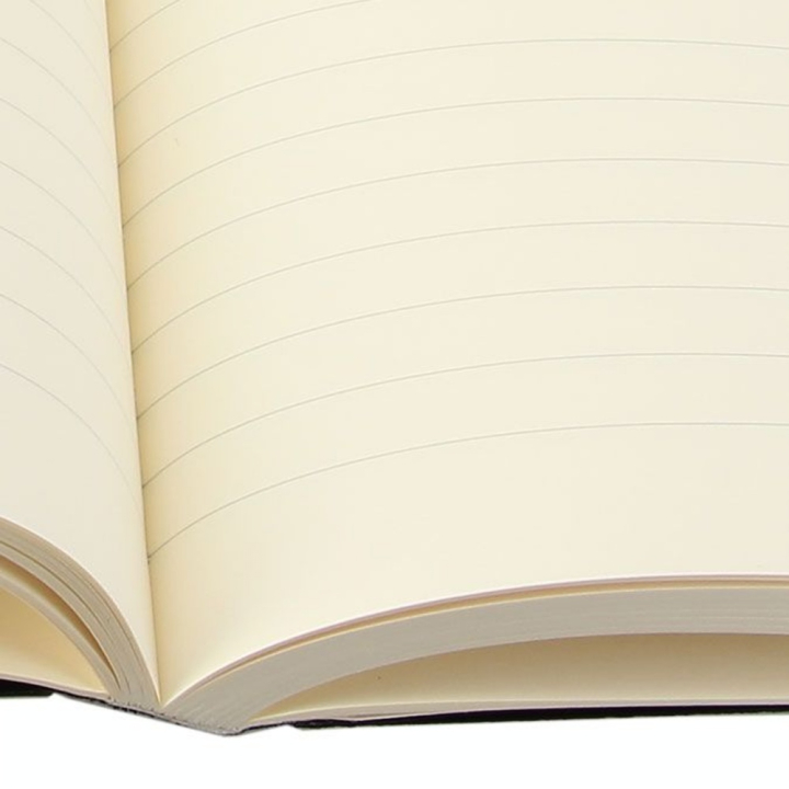 Carnet Flying Spirit noir 14,8 x 21 cm 192 pages Lignées 90g/m² - Clairefontaine - Rougier et Plé