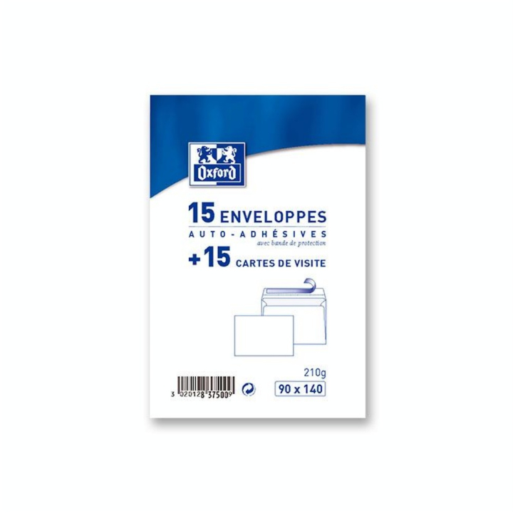 Carte de visite 9 x 14 cm + Enveloppe 15 pcs - Oxford - Rougier et Plé