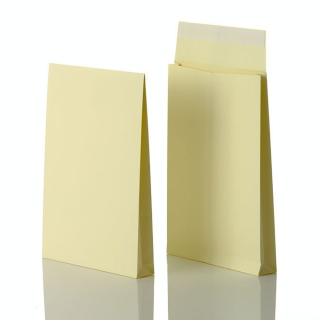 Enveloppe en Kraft armé auto-adhésive 229 x 324 mm 130 g/m² 10 pcs - Oxford - Rougier et Plé