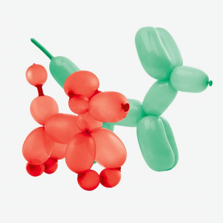 Kit ballons modelables - Legami - Rougier et Plé