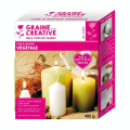 Cire à bougie Végétale 400 g - Graine Créative - Rougier et Plé