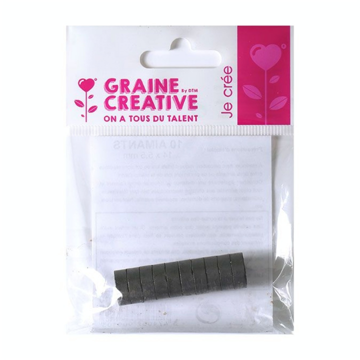 Aimant en ferrite Ø 14 x 5.5 mm 10 pcs - Graine Créative - Rougier et Plé