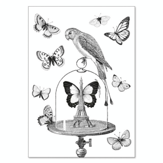 Carte double à colorier 12 x 17 cm Les papillons - Alibabette Éditions - Rougier et Plé