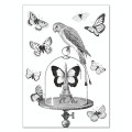 Carte double à colorier 12 x 17 cm Les papillons - Alibabette Éditions - Rougier et Plé