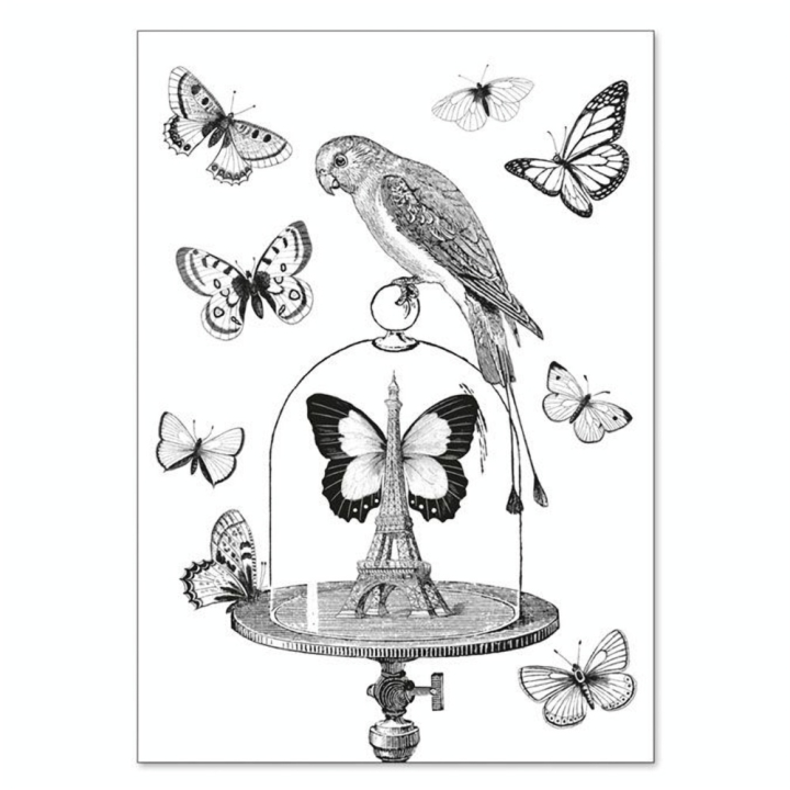 Carte double à colorier 12 x 17 cm Les papillons - Alibabette Éditions - Rougier et Plé